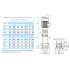 Вертикальный насос CDM 85-1-1