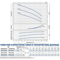 Многоступенчатый насос 2CP 25/130