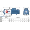 Многоступенчатый насос PEDROLLO FCR 15/3