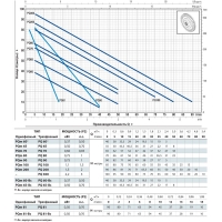 Вихревой насос PQ 100