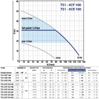 Горизонтальный насос TS1-4CR 100X