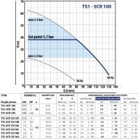 Горизонтальный насос TS1-5CR 100