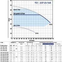 Горизонтальный насос TS1-2CP 25/16A